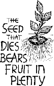 SEED