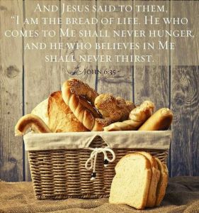 ce08ccee9da85f2bcefcf92cf8b96767