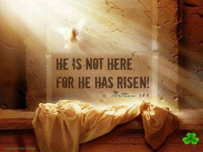 29572258_141792623321633_699788261437217335_n