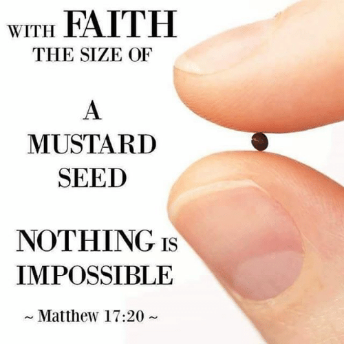 with-faith-the-size-of-mustard-seed-nothing-is-impossible-15312263